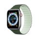 Magnetic Apple Watch SE, 9, 8, 7, 6, 5, 4, 3, 2, 1 (41, 40, 38 mm) Dux Ducis Strap (LD Version) - green